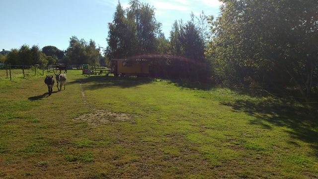 De Balkende Hoeve Aarschot Luaran gambar